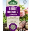 Allflor Dünger Erntebooster Kalimagnesia 2,5 kg