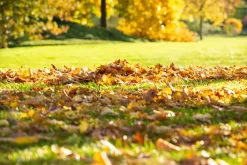 Allflor Herbst-Rasendünger 10 kg