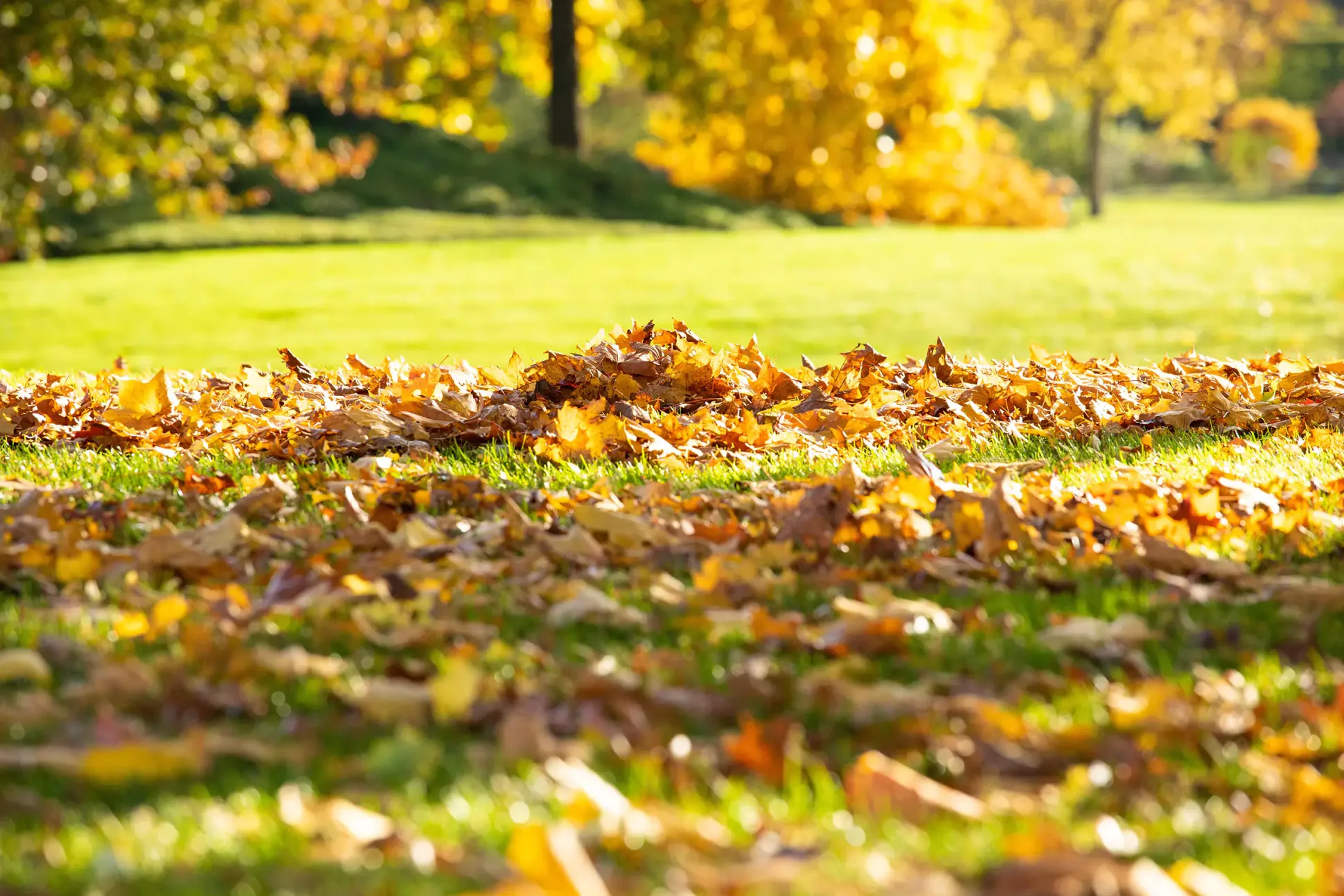 Allflor Herbst-Rasendünger 10 kg