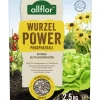 Allflor Wurzelpower Phosphat-Kali 2,5 kg