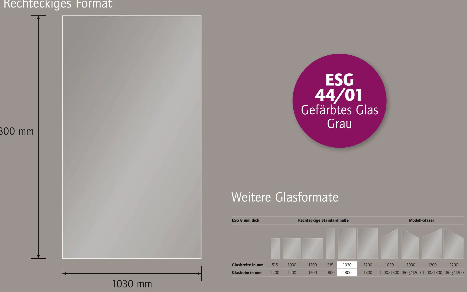 Ambiente Glaszaun B x H: 103 cm x 180 cm, gehärtetes 8 mm Glas
