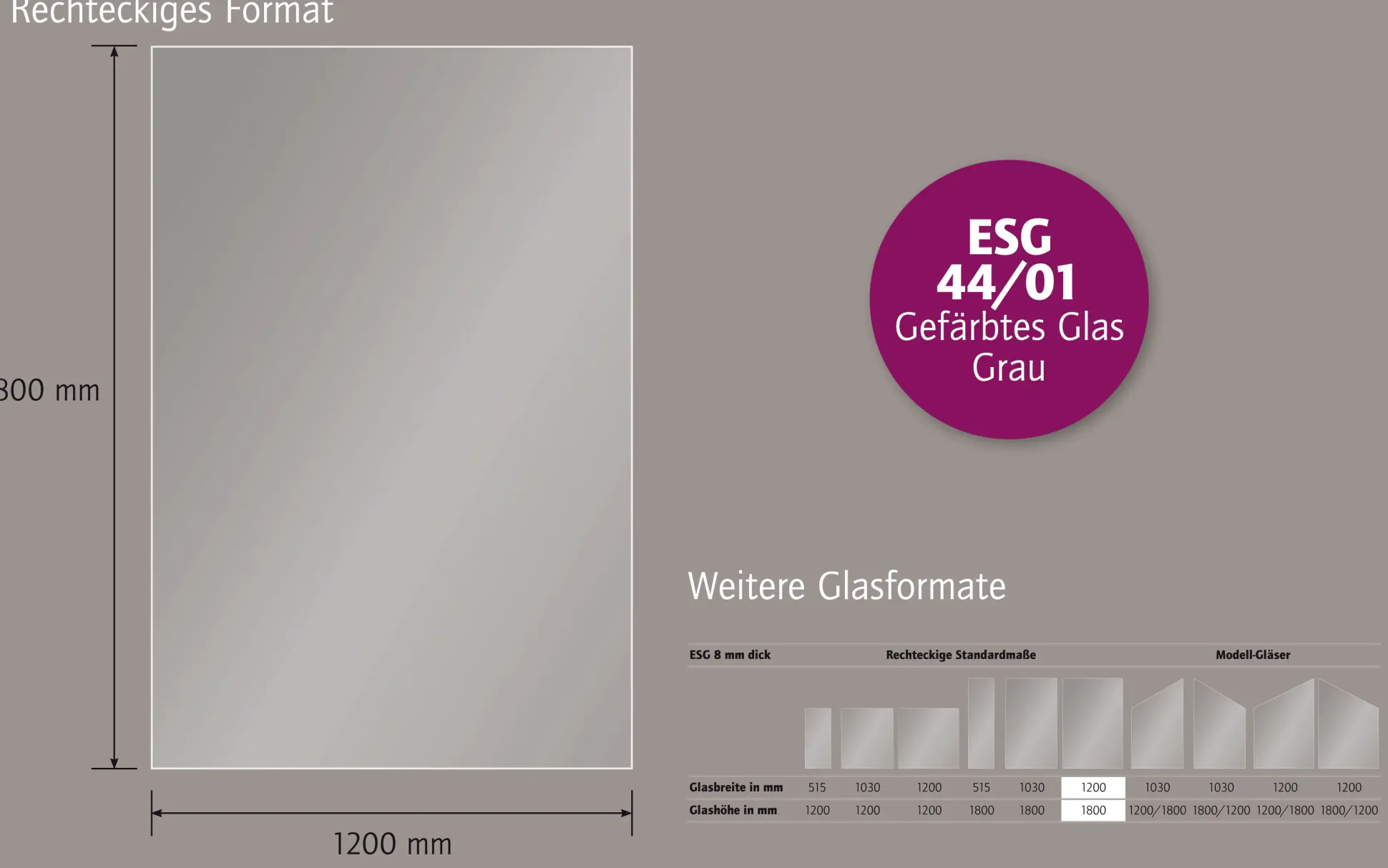 Ambiente Glaszaun B x H: 120 cm x 180 cm, gehärtetes 8 mm Glas