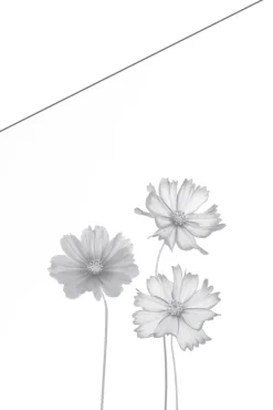 Ambiente Glaszaun Dekor 93 schräg 120 x 120/180 cm gehärtetes 8 mm Glas