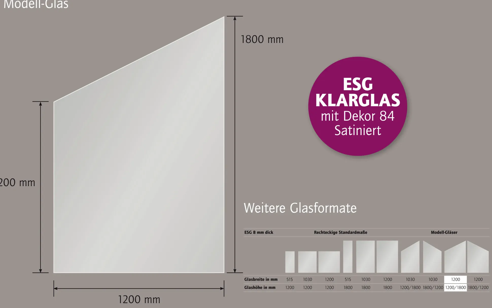 Ambiente Glaszaun Dekor 84 schräg 120 x 120/180 cm gehärtetes 8 mm Glas
