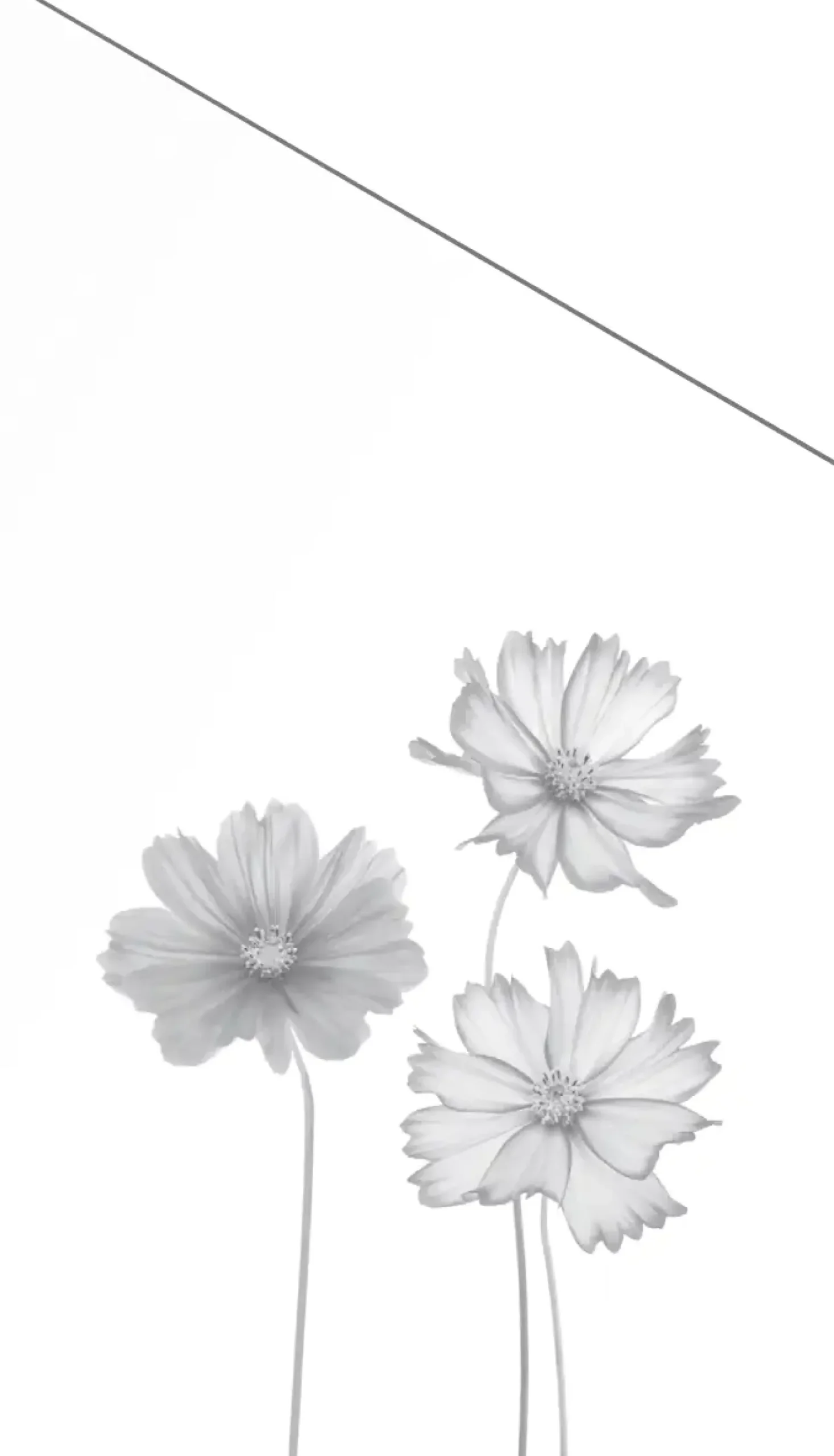 Ambiente Glaszaun Dekor 93 schräg 103 x 180/120 cm gehärtetes 8 mm Glas