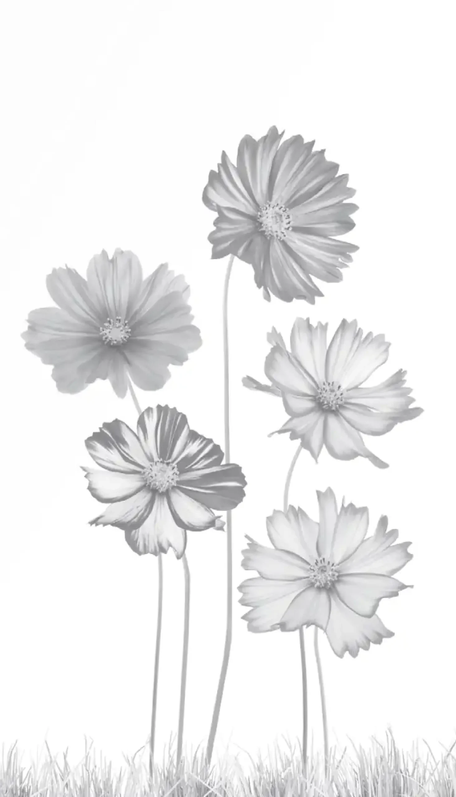 Ambiente Glaszaun Dekor 93 103 x 180 cm gehärtetes 8 mm Glas