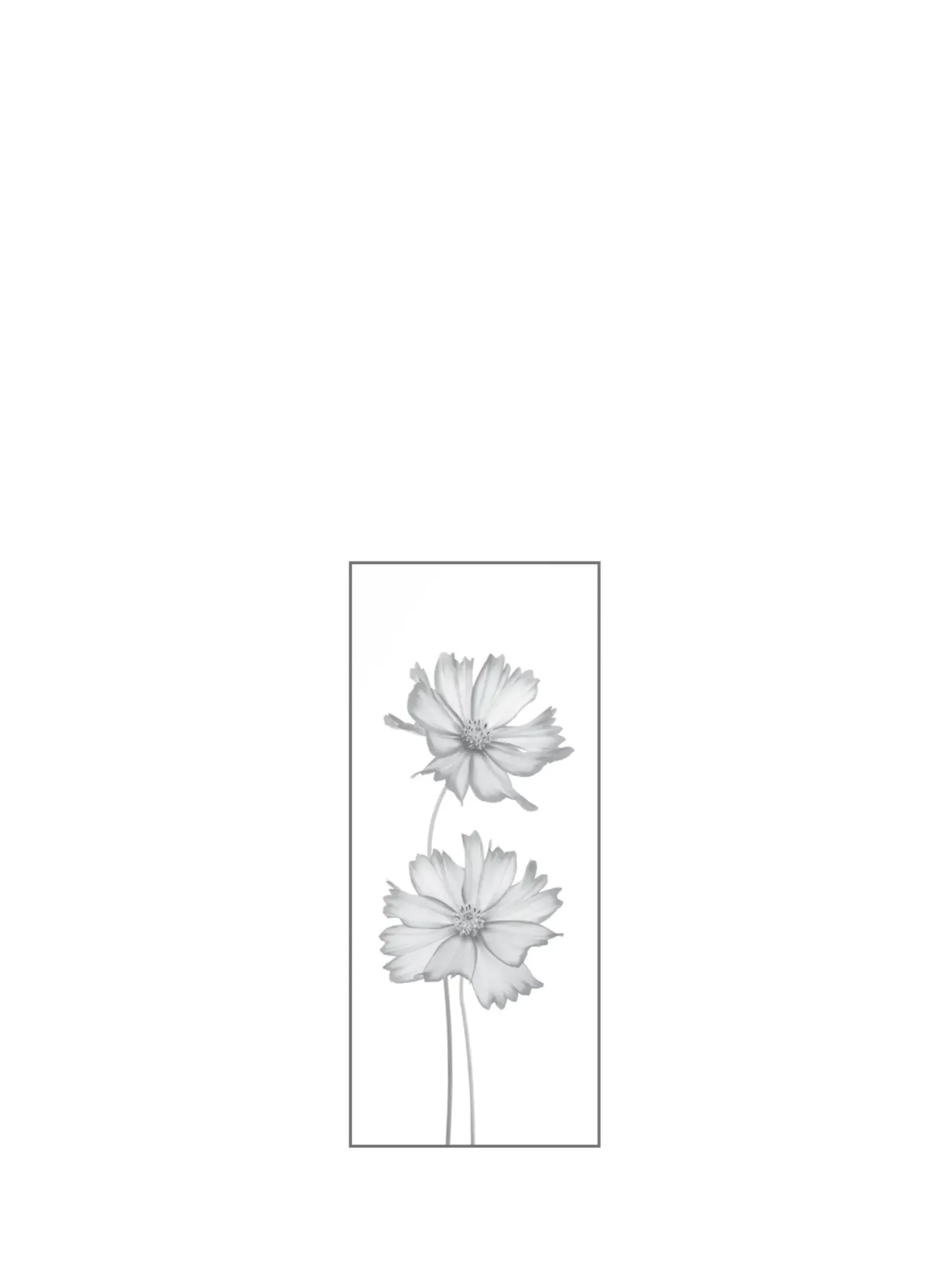 Ambiente Glaszaun Dekor 93 51,5 x 120 cm gehärtetes 8 mm Glas