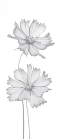 Ambiente Glaszaun Dekor 93 51,5 x 120 cm gehärtetes 8 mm Glas