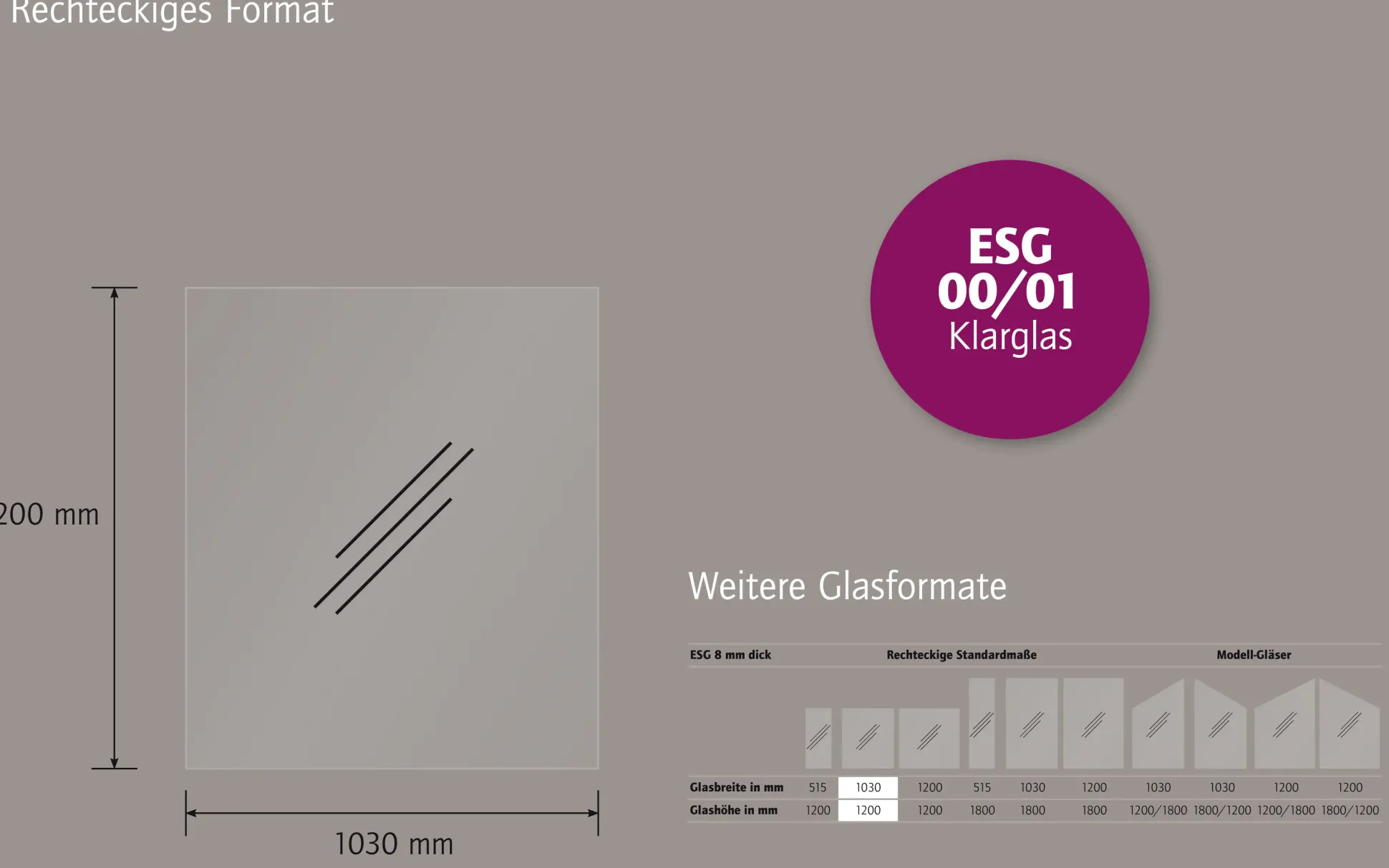 Ambiente Glaszaun Dekor 00/01 103 x 120 cm gehärtetes 8 mm Glas