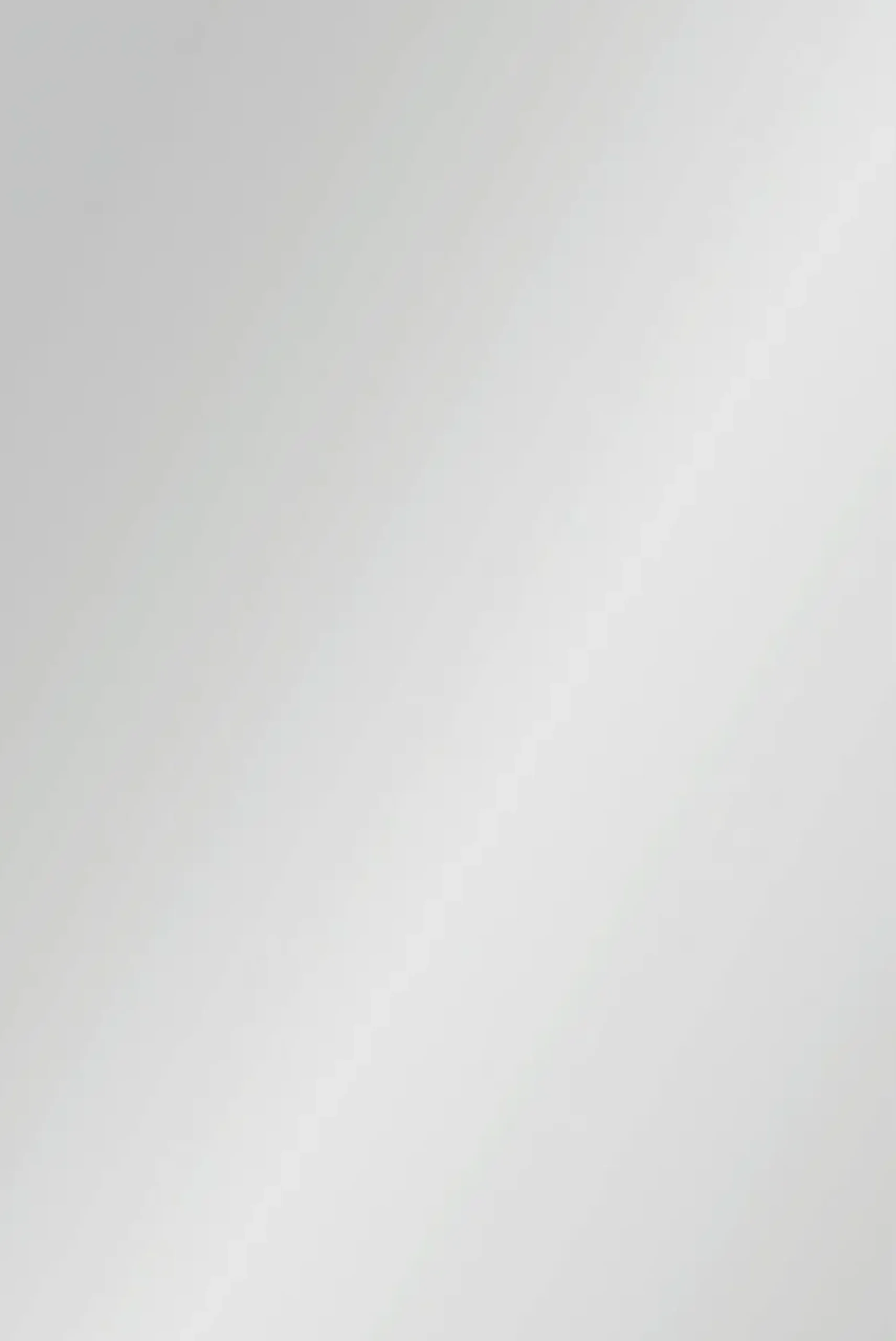 Ambiente Glaszaun Dekor 84 120 x 180 cm gehärtetes 8 mm Glas