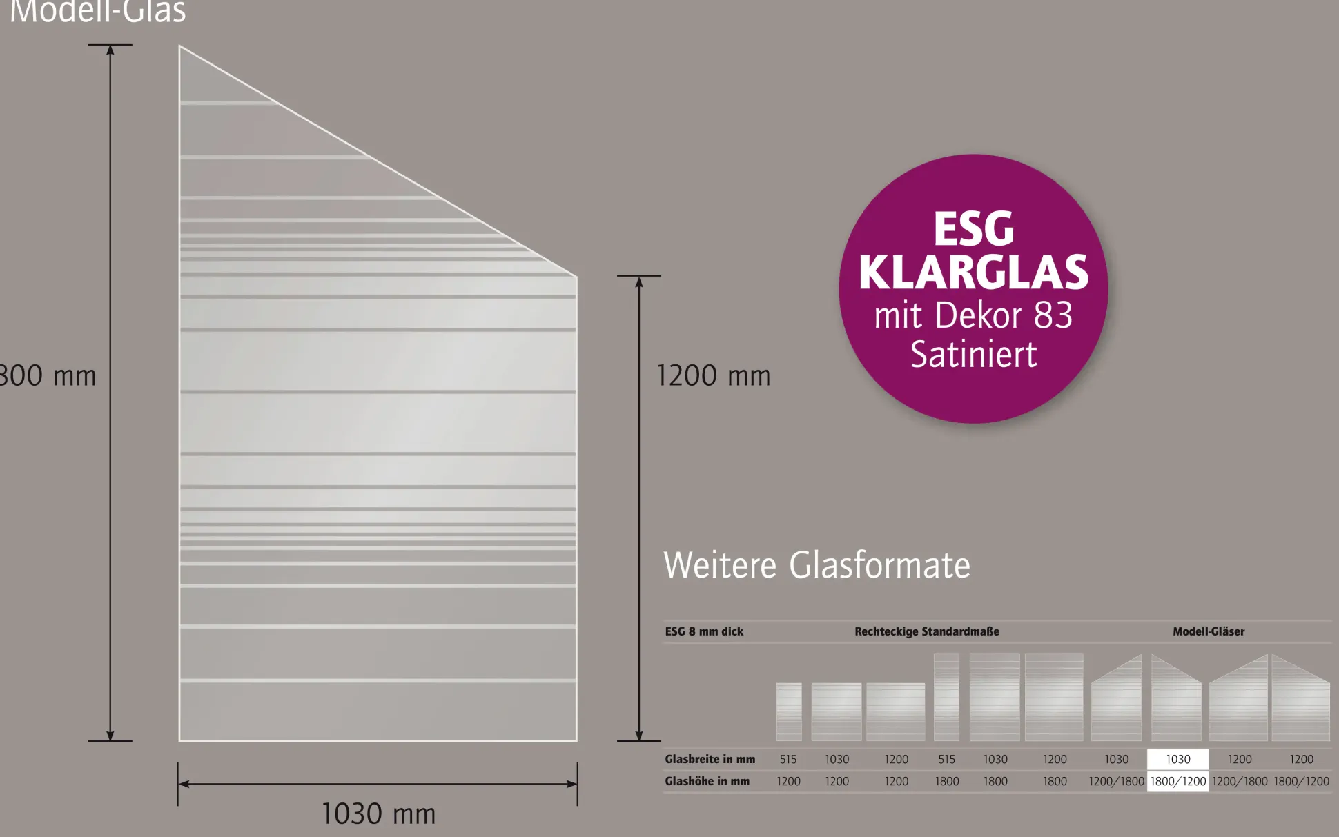 Ambiente Glaszaun Dekor 83 schräg 103 x 180/120 cm gehärtetes 8 mm Glas