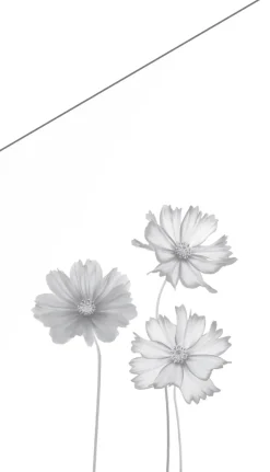 Ambiente Glaszaun Dekor 93 schräg 103 x 120/180 cm gehärtetes 8 mm Glas