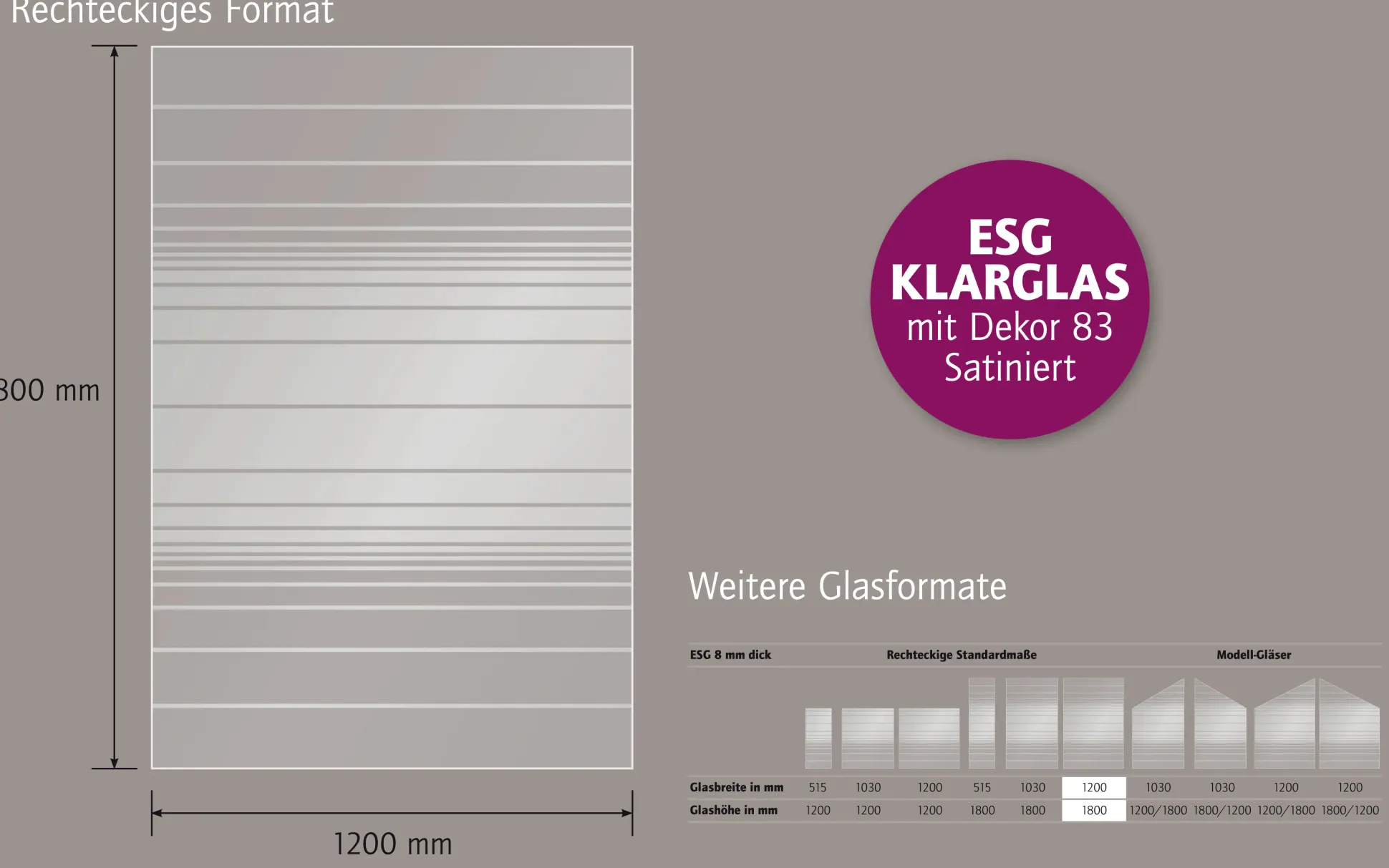 Ambiente Glaszaun Dekor 83 120 x 180 cm gehärtetes 8 mm Glas