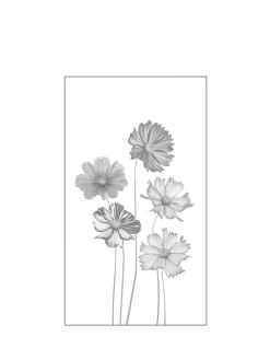 Ambiente Glaszaun Dekor 93 103 x 180 cm gehärtetes 8 mm Glas
