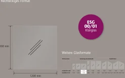 Ambiente Glaszaun Dekor 00/01 120 x 120 cm gehärtetes 8 mm Glas
