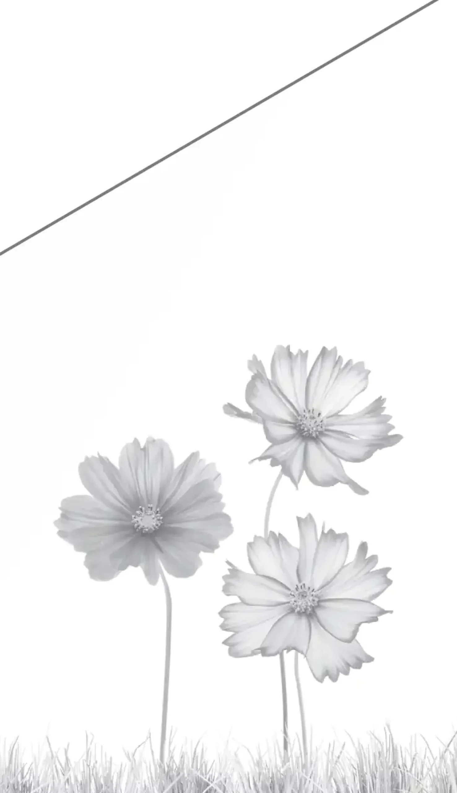 Ambiente Glaszaun Dekor 93 schräg 103 x 120/180 cm gehärtetes 8 mm Glas