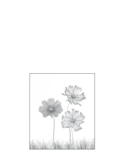 Ambiente Glaszaun Dekor 93 103 x 120 cm gehärtetes 8 mm Glas