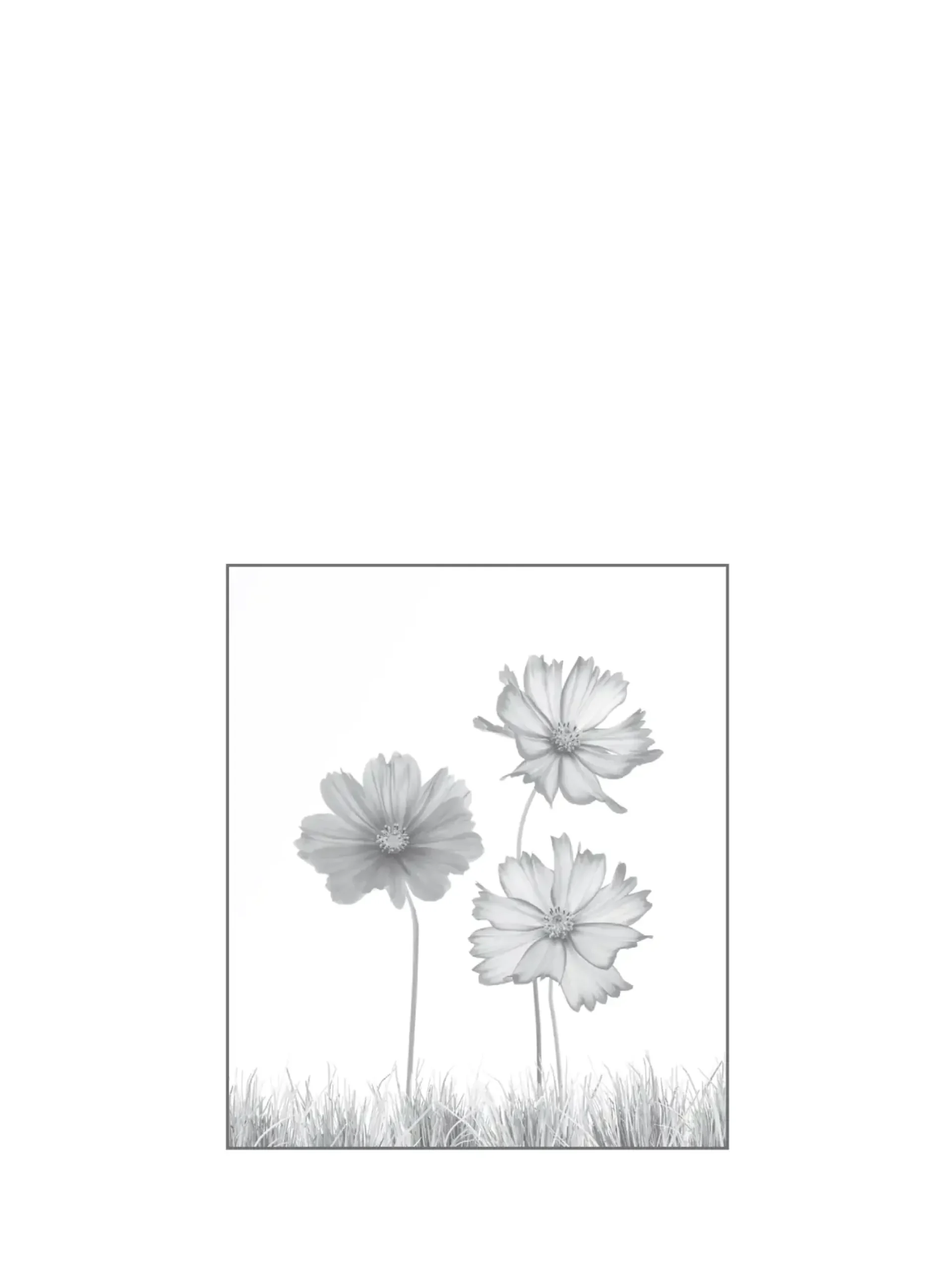 Ambiente Glaszaun Dekor 93 103 x 120 cm gehärtetes 8 mm Glas