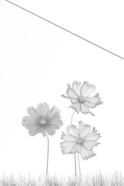 Ambiente Glaszaun Dekor 93 schräg 120 x 180/120 cm gehärtetes 8 mm Glas