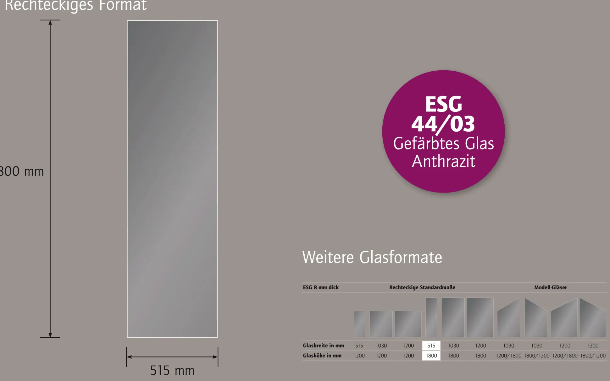 Ambiente Glaszaun Dekor 44/03 51,5 x 180 cm gehärtetes 8 mm Glas