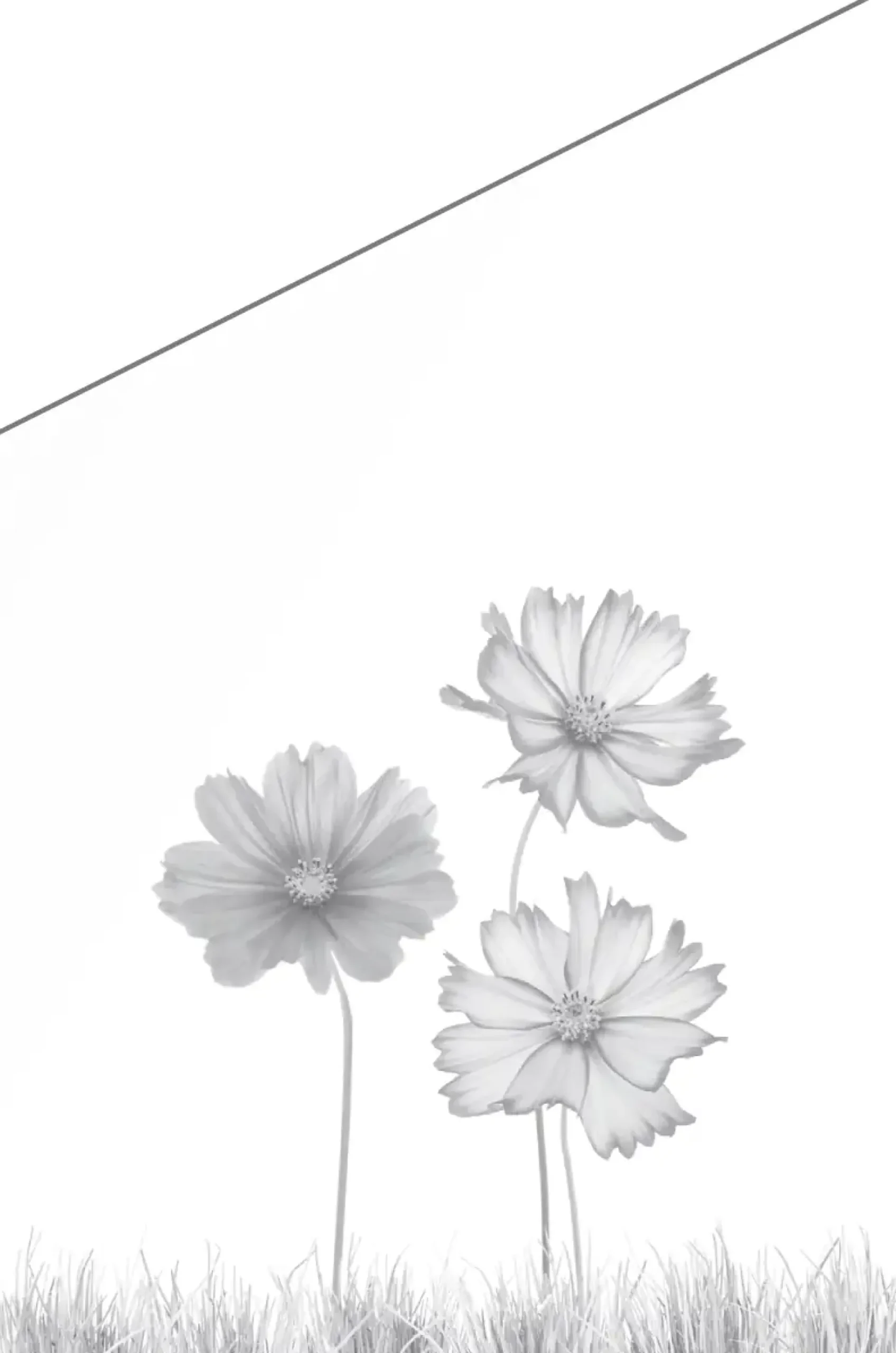 Ambiente Glaszaun Dekor 93 schräg 120 x 120/180 cm gehärtetes 8 mm Glas