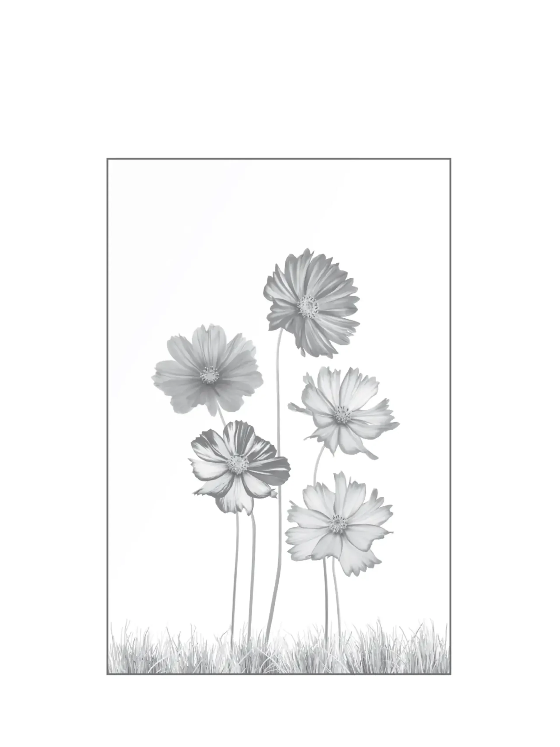 Ambiente Glaszaun Dekor 93 120 x 180 cm gehärtetes 8 mm Glas