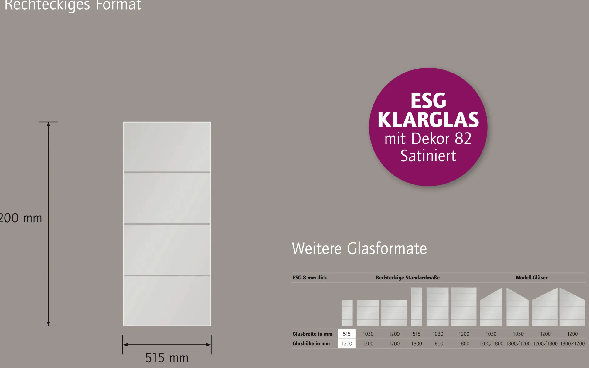 Ambiente Glaszaun Dekor 82 51,5 x 120 cm gehärtetes 8 mm Glas