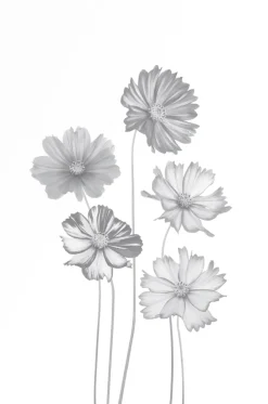 Ambiente Glaszaun Dekor 93 120 x 180 cm gehärtetes 8 mm Glas