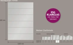 Ambiente Glaszaun Dekor 82 120 x 180 cm gehärtetes 8 mm Glas