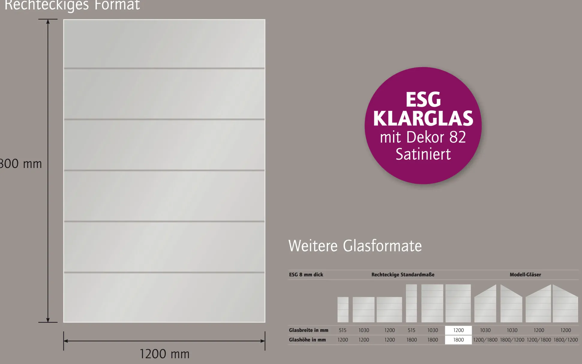Ambiente Glaszaun Dekor 82 120 x 180 cm gehärtetes 8 mm Glas