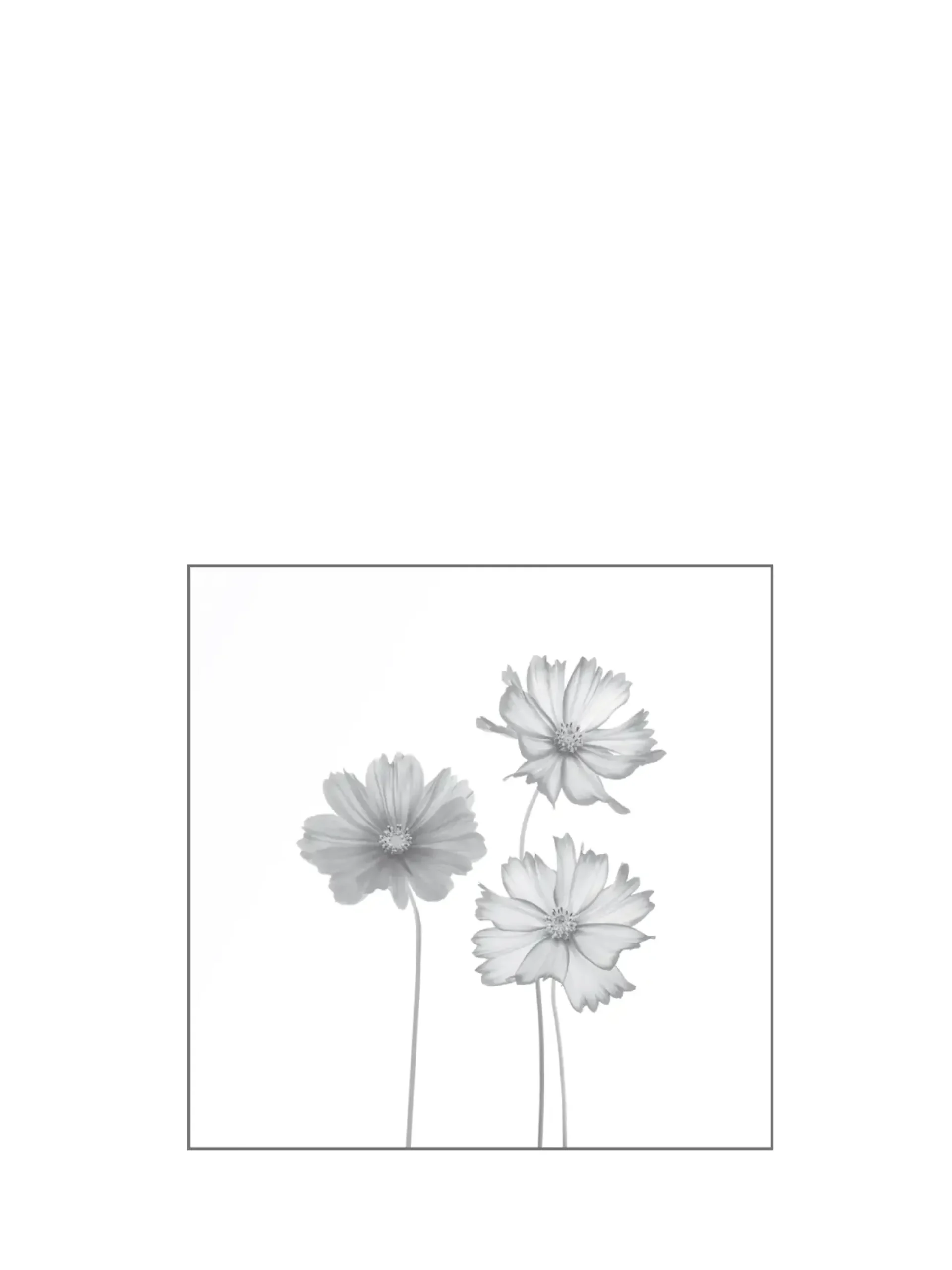 Ambiente Glaszaun Dekor 93 120 x 120 cm gehärtetes 8 mm Glas