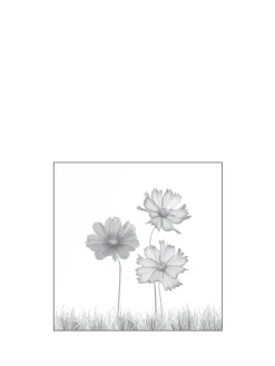 Ambiente Glaszaun Dekor 93 120 x 120 cm gehärtetes 8 mm Glas