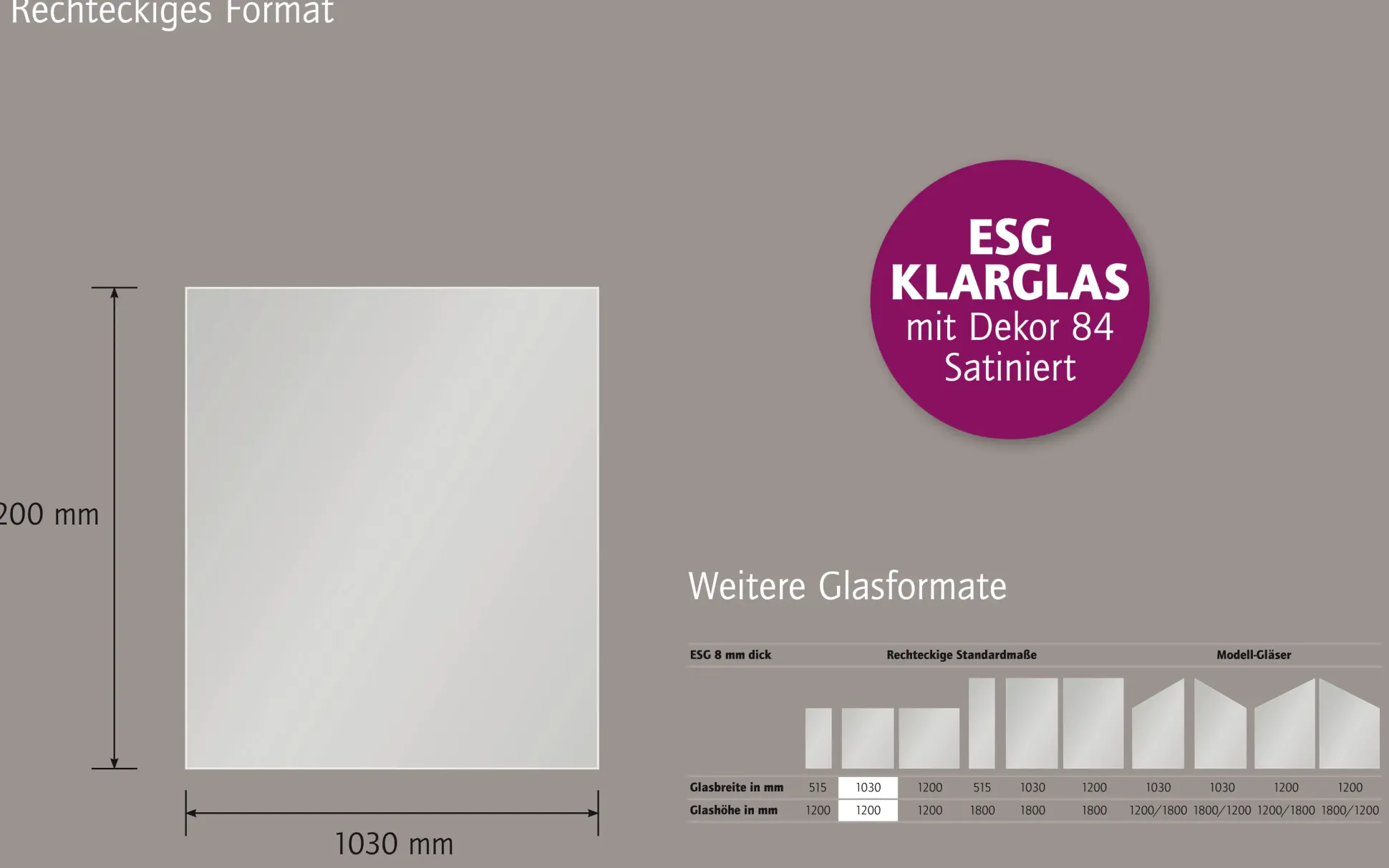 Ambiente Glaszaun Dekor 84 103 x 120 cm gehärtetes 8 mm Glas