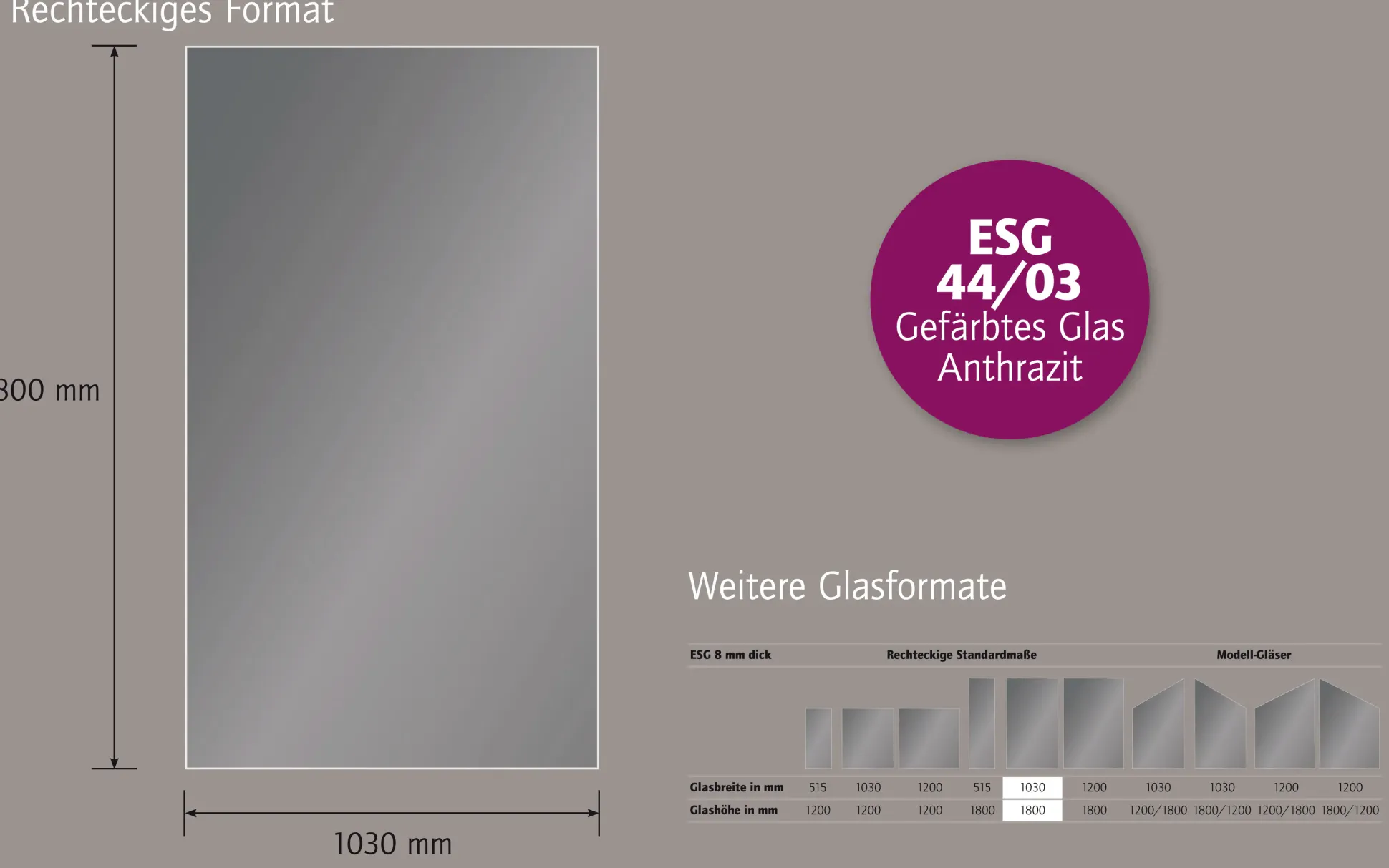 Ambiente Glaszaun Dekor 44/03 103 x 180 cm gehärtetes 8 mm Glas