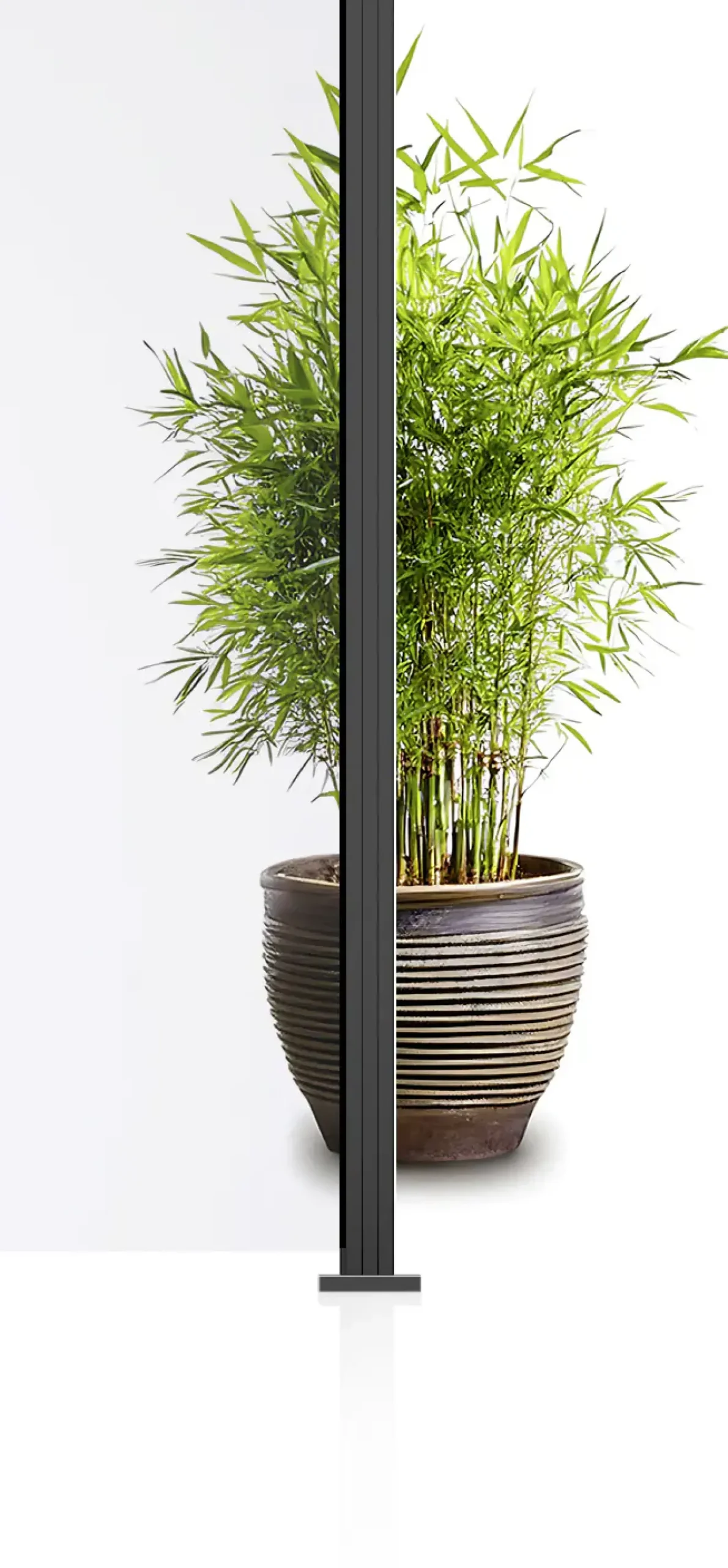 Ambiente Glaszaun Erweiterungsset Klarglas 187 x 55,7 cm anthrazit