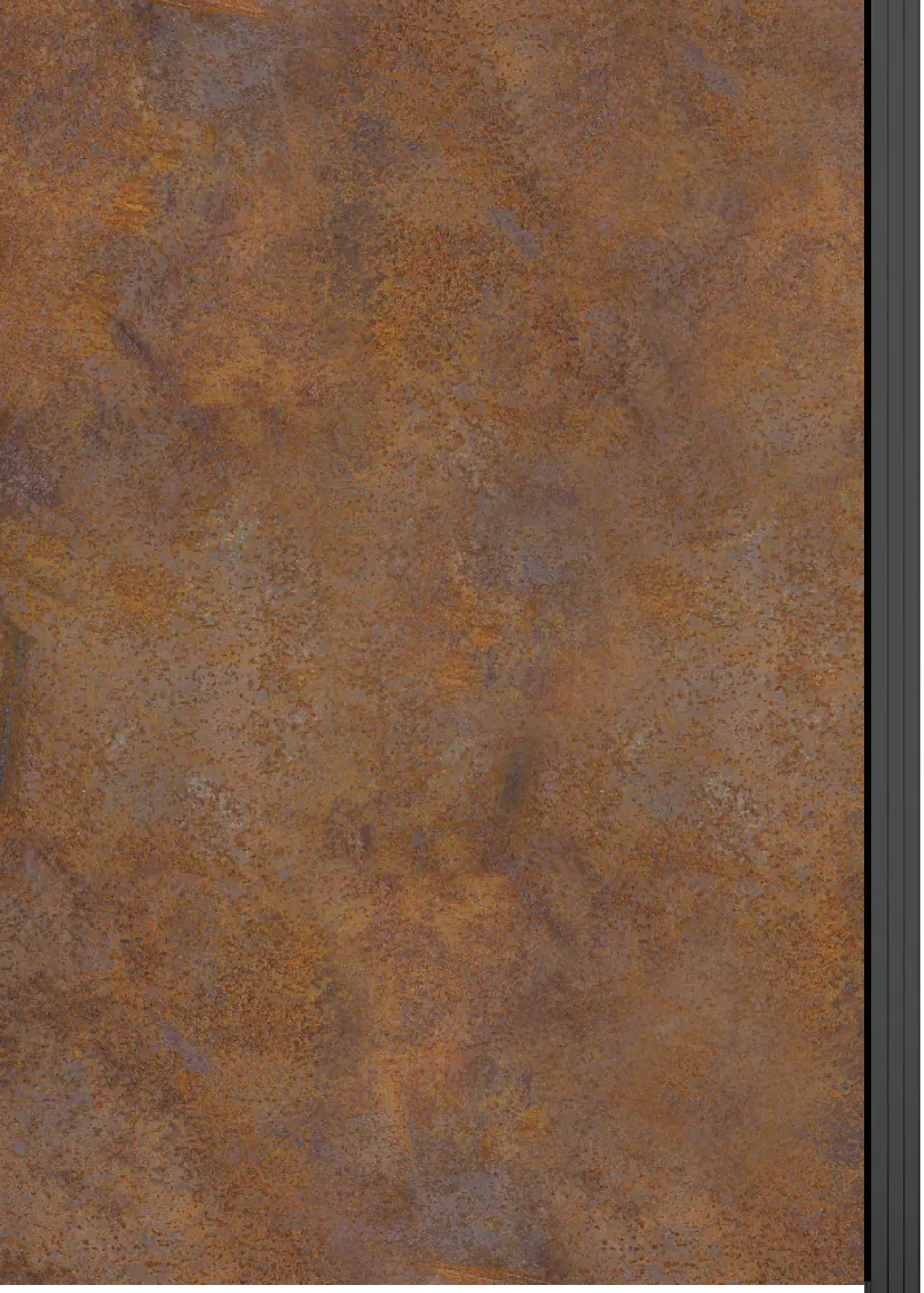 Ambiente Glaszaun Erweiterungsset Klarglas 187 x 124,2 cm mit Motivdruck anthrazit