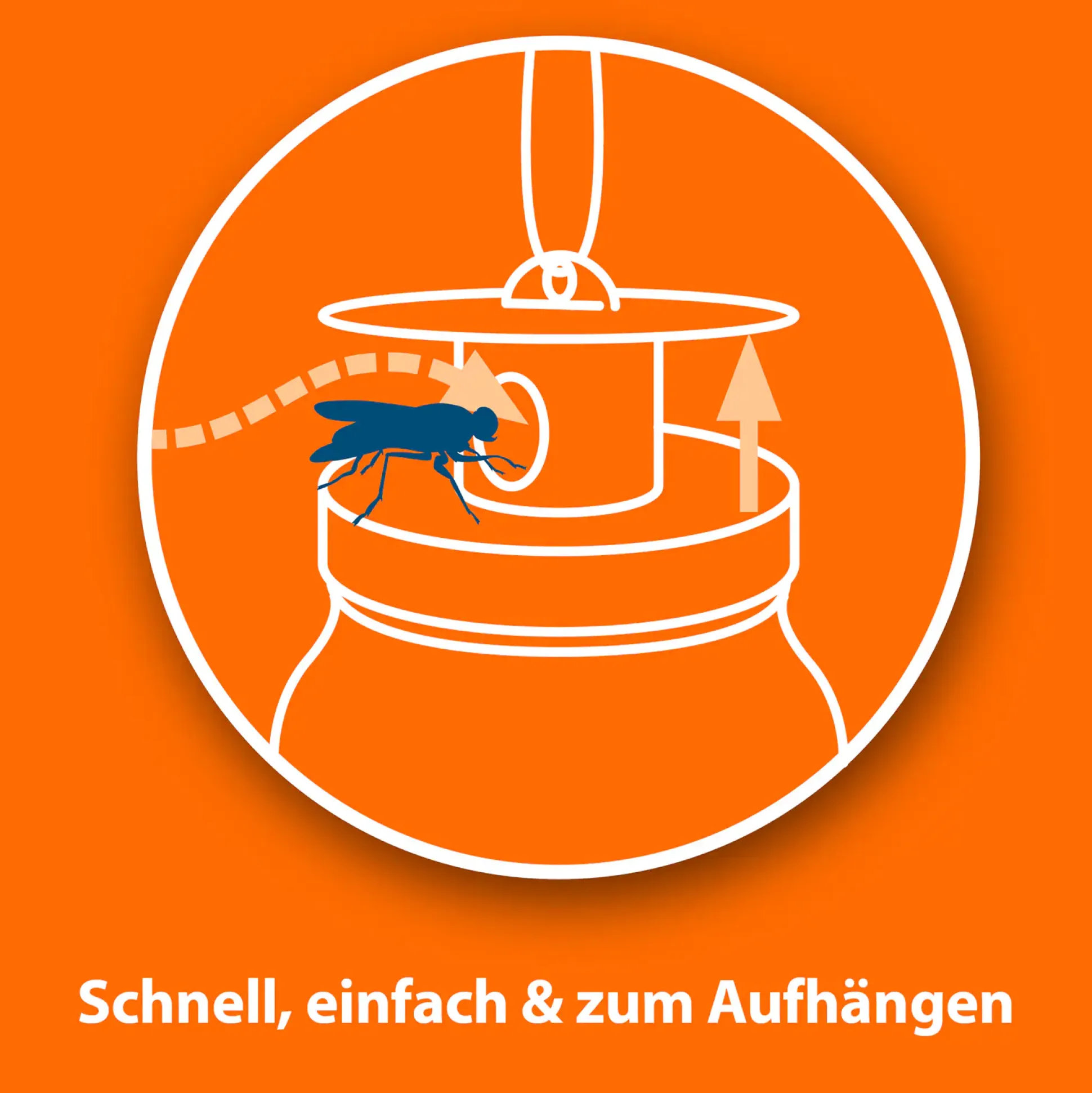 Ardap Fliegenfalle mit Lockstoff 1 Stück