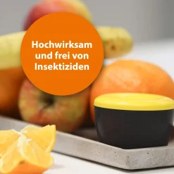 Ardap Fruchtfliegenfalle mit Lockstoff 1 Stück