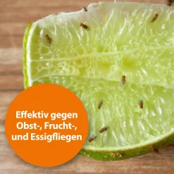 Ardap Fruchtfliegenfalle mit Lockstoff 1 Stück