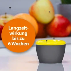 Ardap Fruchtfliegenfalle mit Lockstoff 1 Stück