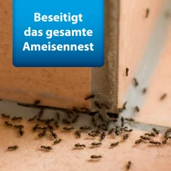 Ardap Pro Ameisenköderdose 3 Stück