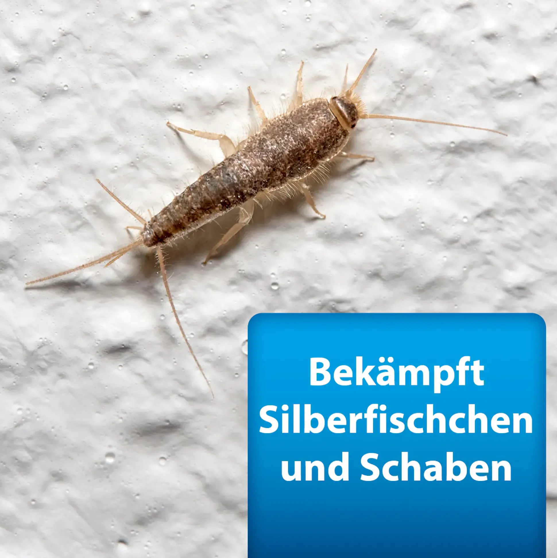 Ardap Pro Silberfischchenköderdose 4 Stück