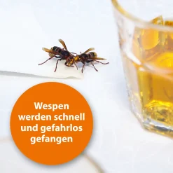 Ardap Wespenfalle mit Lockstoff 1 Stück