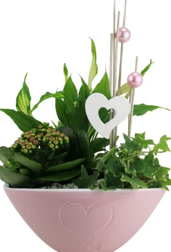 Arrangement für Innen in 20 cm Schale oval