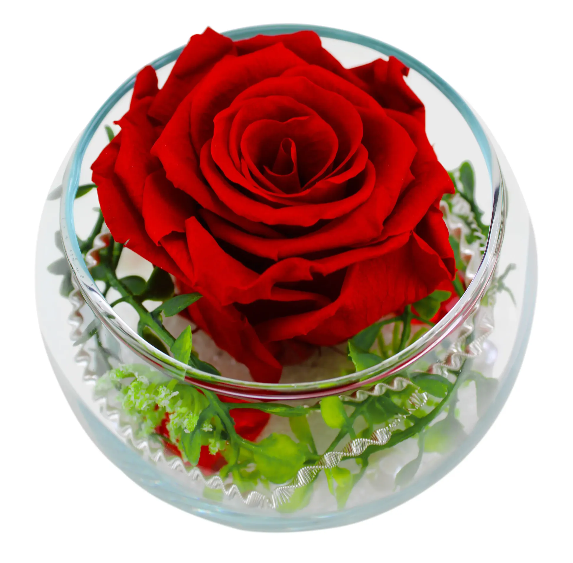 Arrangement Langzeitrose "Long Life", rot im Whiskeyglas mit Deko