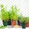 Artevasi Anzuchttopf Madagascar Kunststoff trockengrün Ø 21 x 19 cm