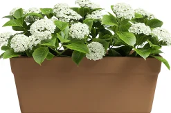 Artevasi Pflanzkasten Amália Terrakotta tonrot 52 x 21 cm