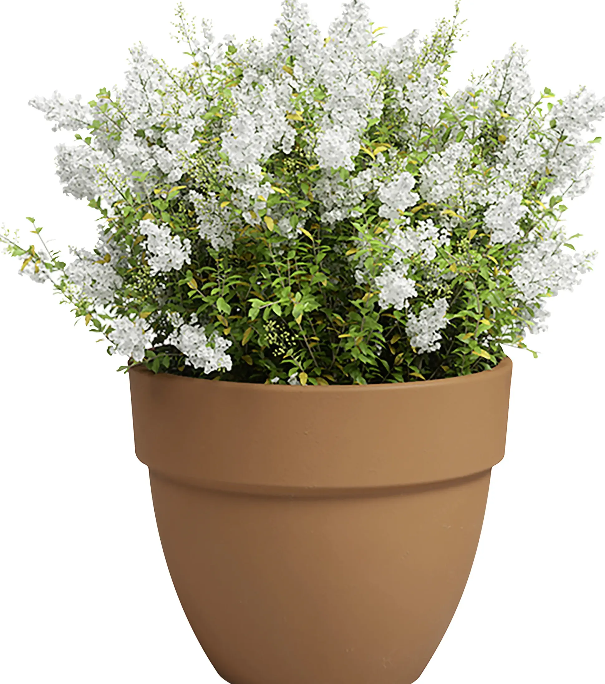 Artevasi Pflanztopf Amália Campana Terrakotta tonrot Ø 32 x 27 cm
