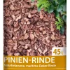 ASB Greenworld Pinienrinde 45L 25-40 mm Körnung, grob