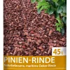 ASB Greenworld Pinienrinde 45L 15-25 mm Körnung, mittel